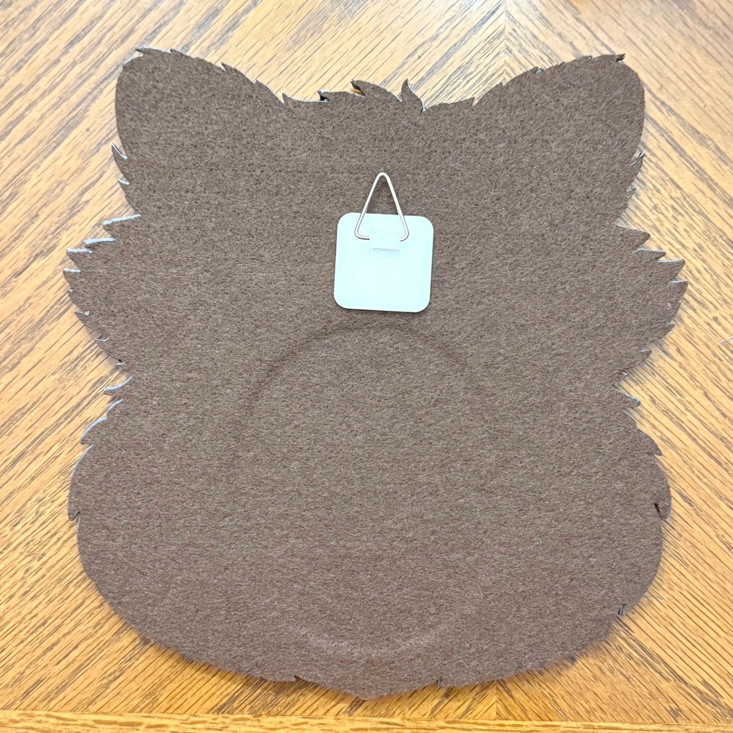 Raccoon Mirror Wall Art