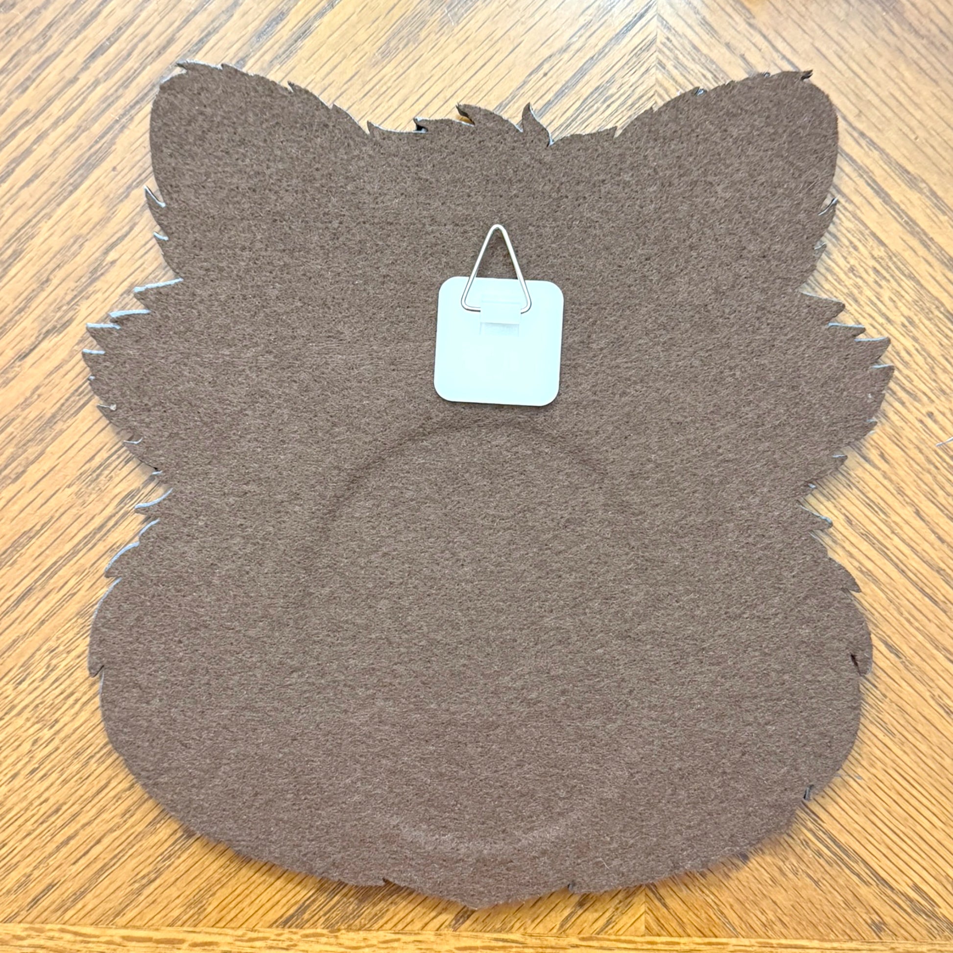 Raccoon Mirror Wall Art