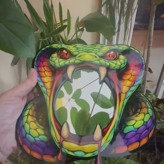 Snake Mirror Wall Art