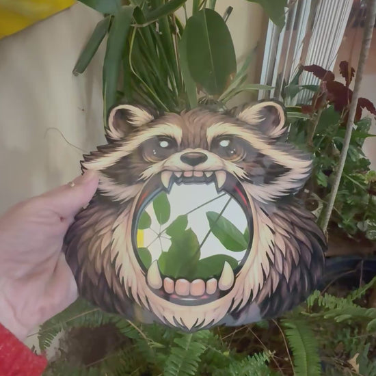 Raccoon Mirror Wall Art
