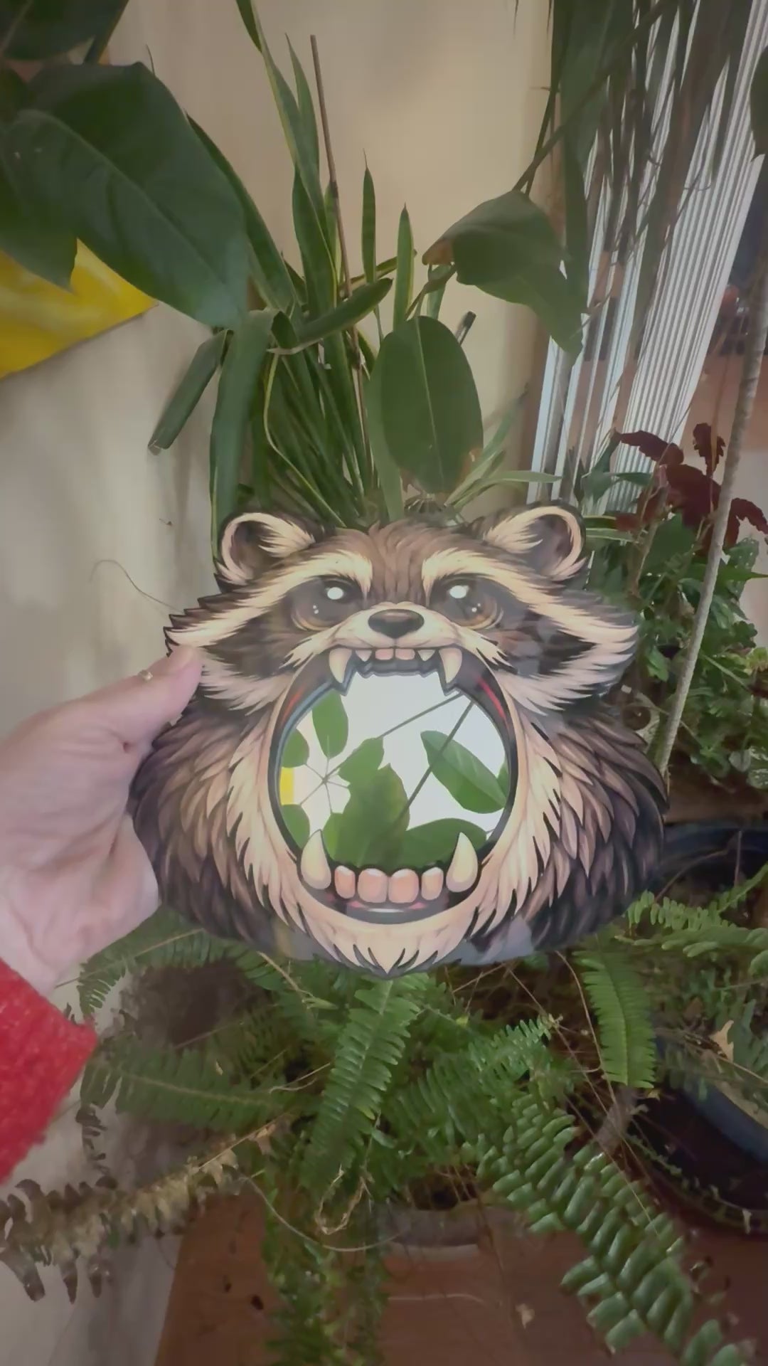 Raccoon Mirror Wall Art