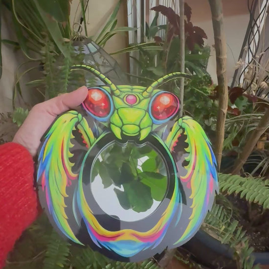 Praying Mantis Mirror Wall Art